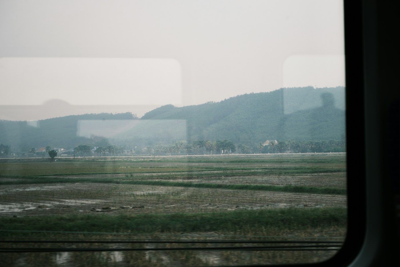 Campagne brumeuse vue par la fenêtre d'un train